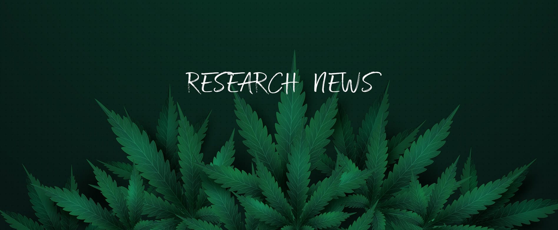 Cannabis Research News | In The Trees Bozeman